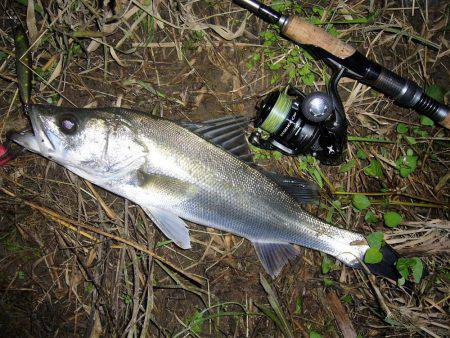 お馴染のポイントにてＨｉｔ”！